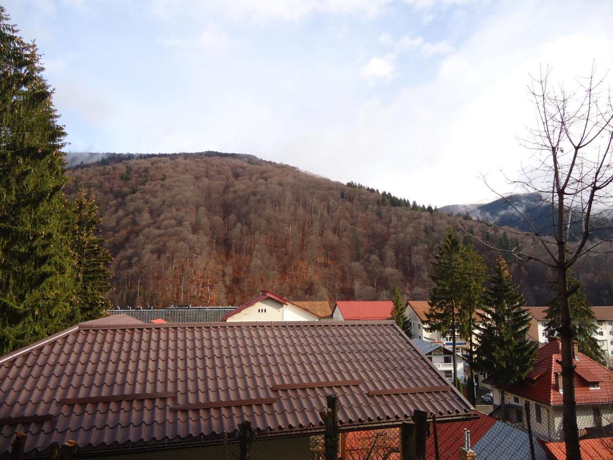 Casa Serban Villa Sinaia Esterno foto