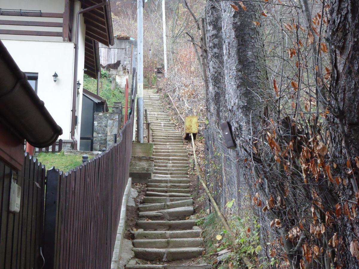 Casa Serban Villa Sinaia Esterno foto