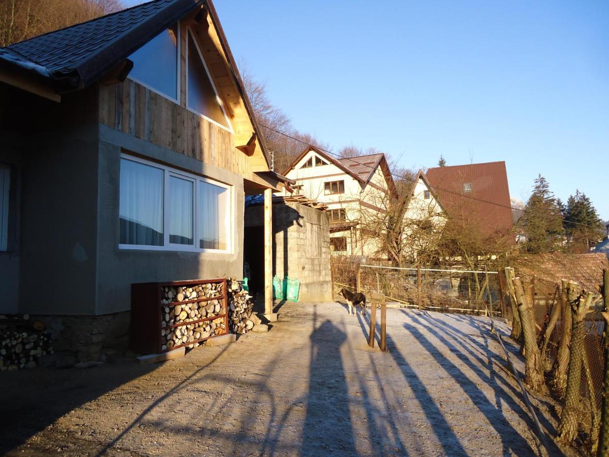 Casa Serban Villa Sinaia Esterno foto