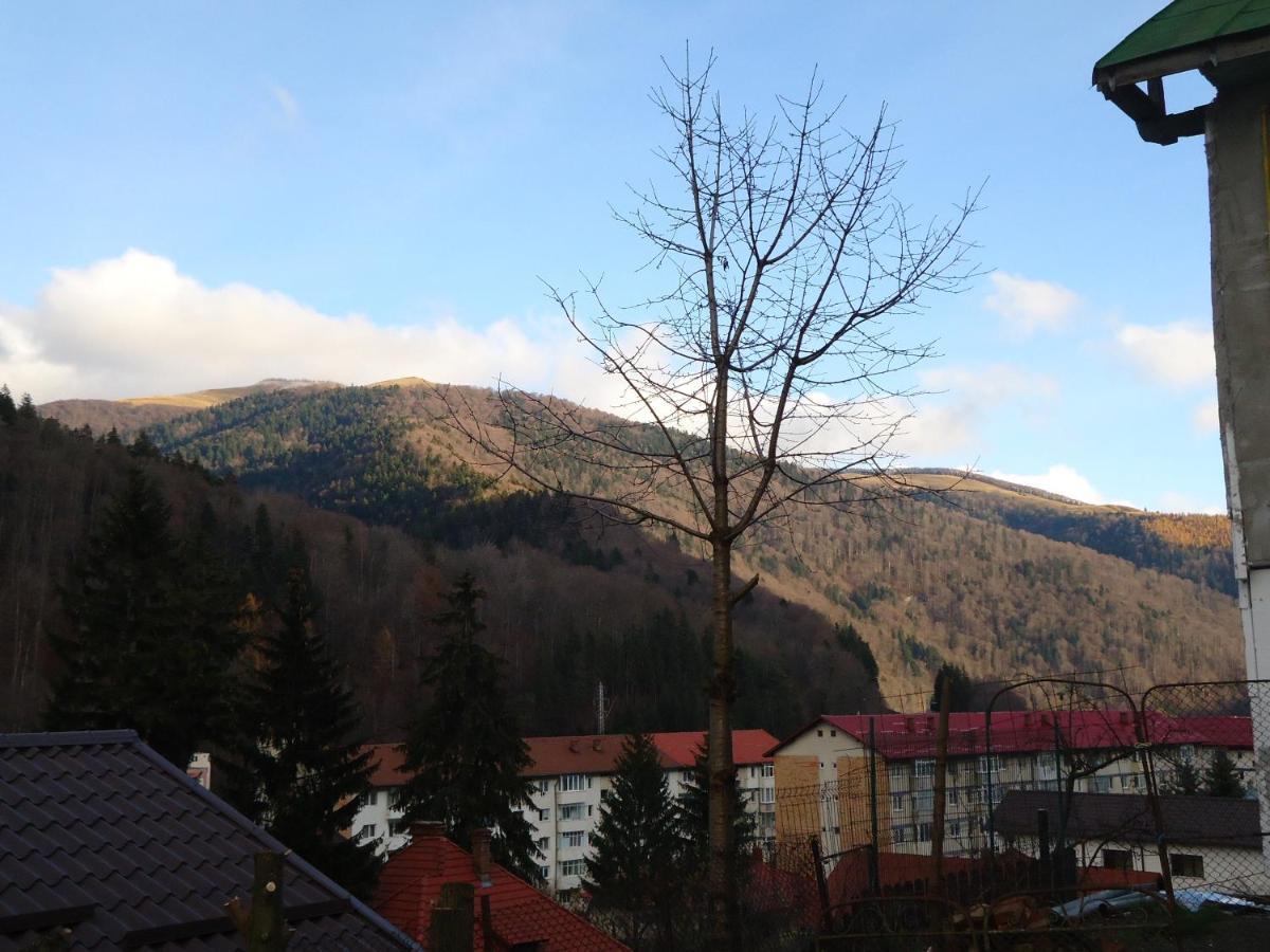 Casa Serban Villa Sinaia Esterno foto