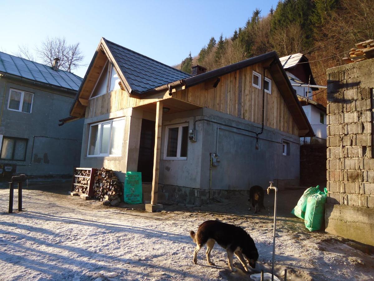 Casa Serban Villa Sinaia Esterno foto