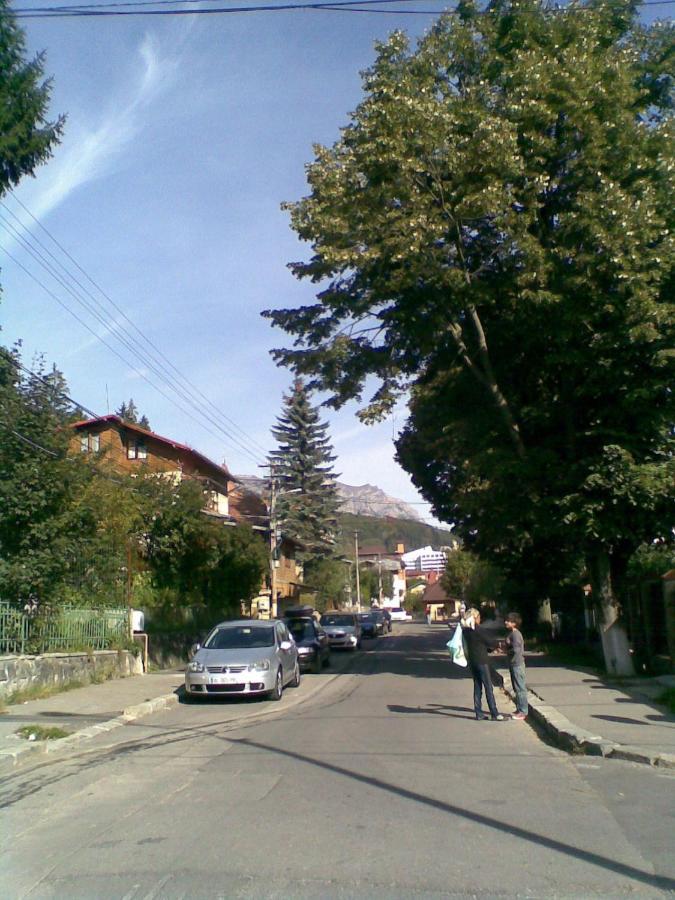 Casa Serban Villa Sinaia Esterno foto