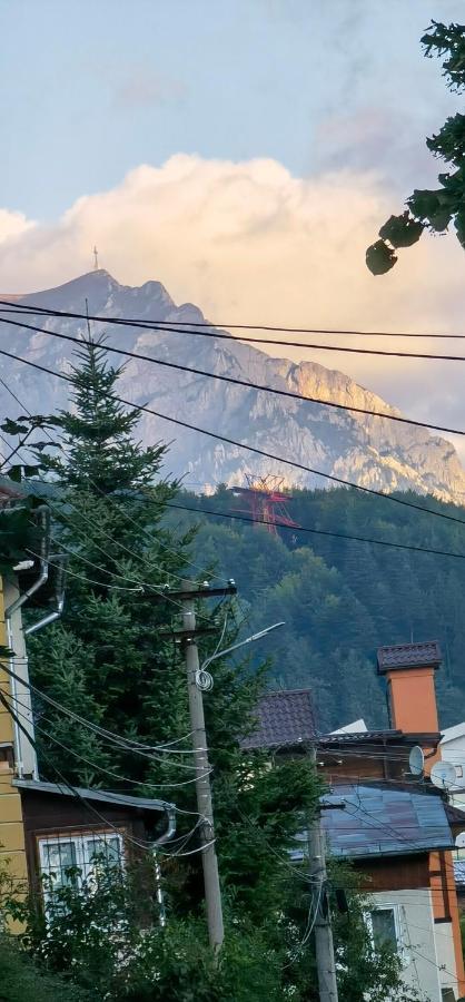 Casa Serban Villa Sinaia Esterno foto