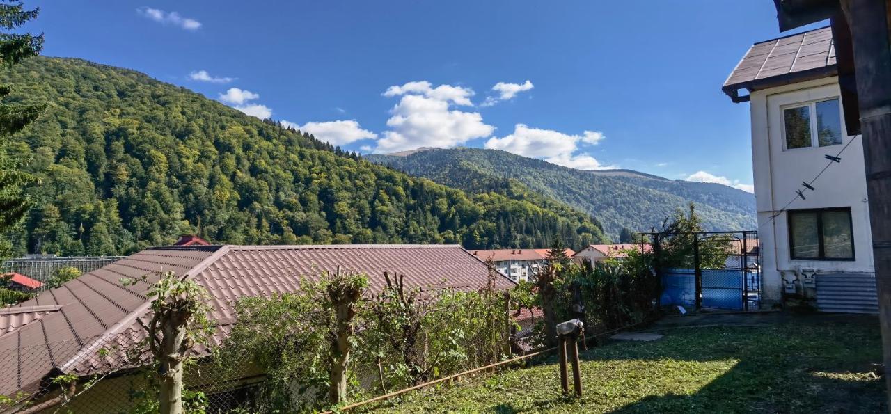 Casa Serban Villa Sinaia Esterno foto