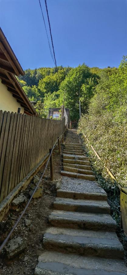 Casa Serban Villa Sinaia Esterno foto